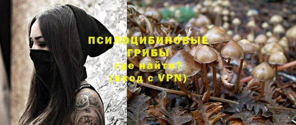 ALPHA-PVP Лиски