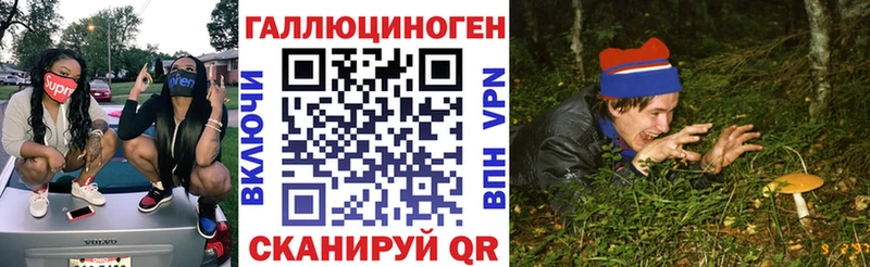 продажа наркотиков  Меленки  Псилоцибиновые грибы Psilocybe 